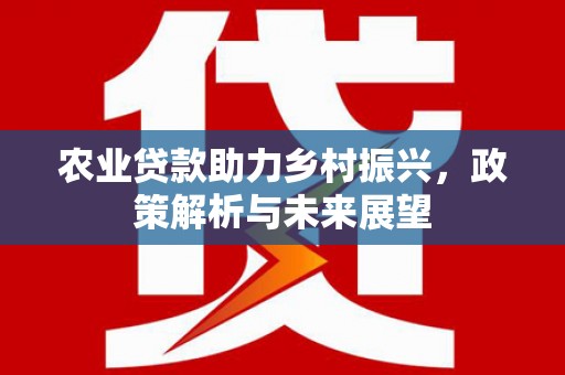 潍坊农业贷款助力乡村振兴，政策解析与未来展望