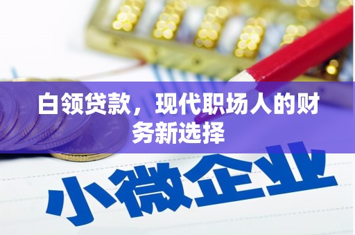 潍坊白领贷款，现代职场人的财务新选择