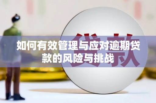 潍坊如何有效管理与应对逾期贷款的风险与挑战