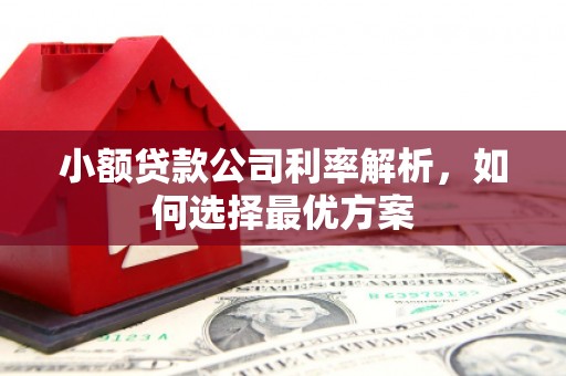潍坊小额贷款公司利率解析，如何选择最优方案