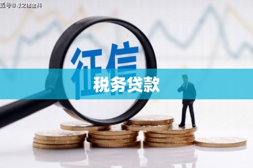 潍坊税务贷款