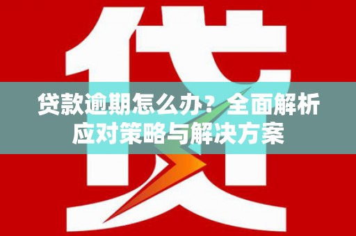 潍坊贷款逾期怎么办？全面解析应对策略与解决方案