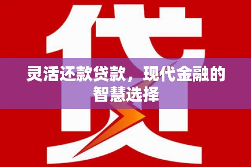 潍坊灵活还款贷款，现代金融的智慧选择