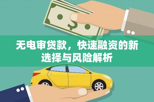 潍坊无电审贷款，快速融资的新选择与风险解析