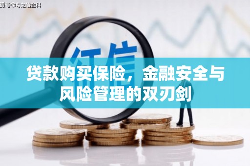 潍坊贷款购买保险，金融安全与风险管理的双刃剑