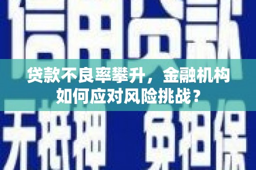 潍坊贷款不良率攀升，金融机构如何应对风险挑战？