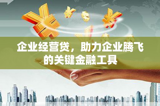 潍坊企业经营贷，助力企业腾飞的关键金融工具