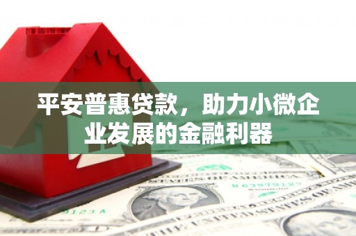 潍坊平安普惠贷款，助力小微企业发展的金融利器