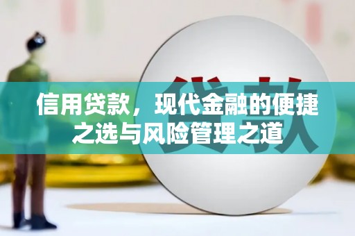 潍坊信用贷款，现代金融的便捷之选与风险管理之道