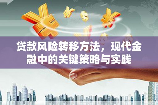 潍坊贷款风险转移方法，现代金融中的关键策略与实践