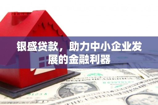 潍坊银盛贷款，助力中小企业发展的金融利器