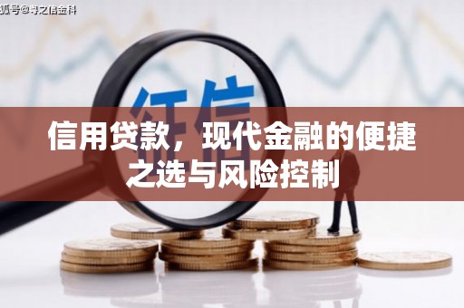 潍坊信用贷款，现代金融的便捷之选与风险控制