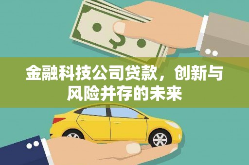 潍坊金融科技公司贷款，创新与风险并存的未来