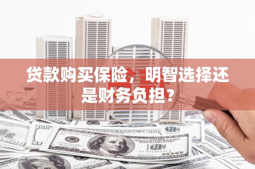 潍坊贷款购买保险，明智选择还是财务负担？