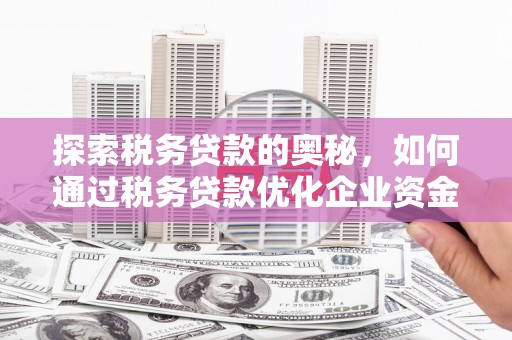 潍坊探索税务贷款的奥秘，如何通过税务贷款优化企业资金流