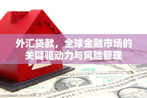 潍坊外汇贷款，全球金融市场的关键驱动力与风险管理