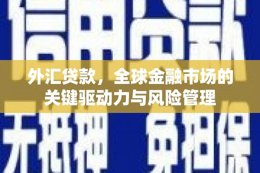 潍坊外汇贷款，全球金融市场的关键驱动力与风险管理