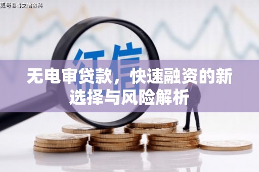 潍坊无电审贷款，快速融资的新选择与风险解析
