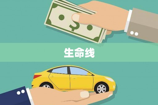 潍坊生命线