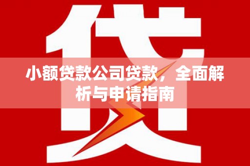 潍坊小额贷款公司贷款，全面解析与申请指南