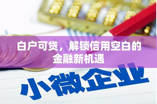 潍坊白户可贷，解锁信用空白的金融新机遇