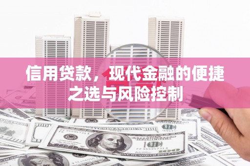 潍坊信用贷款，现代金融的便捷之选与风险控制
