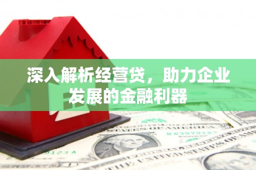 潍坊深入解析经营贷，助力企业发展的金融利器