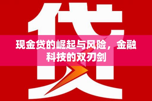 潍坊现金贷的崛起与风险，金融科技的双刃剑