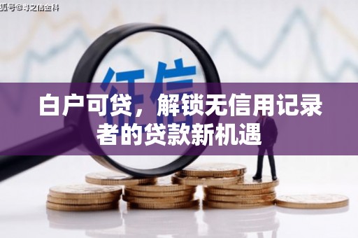 潍坊白户可贷，解锁无信用记录者的贷款新机遇