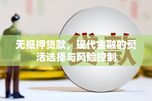 潍坊无抵押贷款，现代金融的灵活选择与风险控制