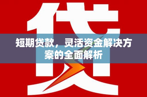 潍坊短期贷款，灵活资金解决方案的全面解析