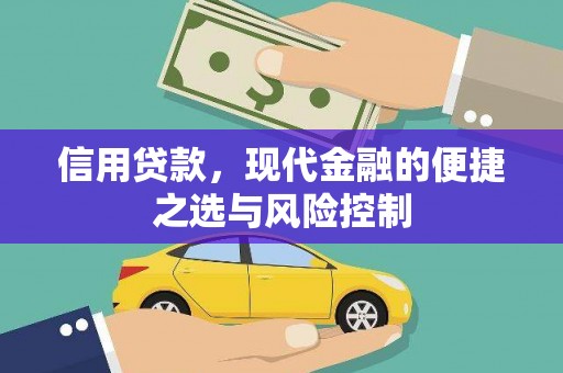 潍坊信用贷款，现代金融的便捷之选与风险控制