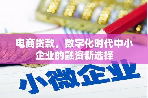 潍坊电商贷款，数字化时代中小企业的融资新选择
