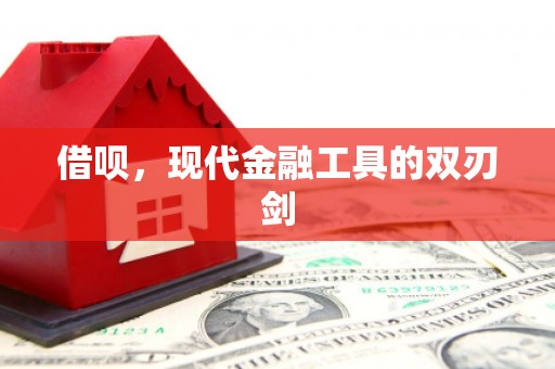 潍坊借呗，现代金融工具的双刃剑