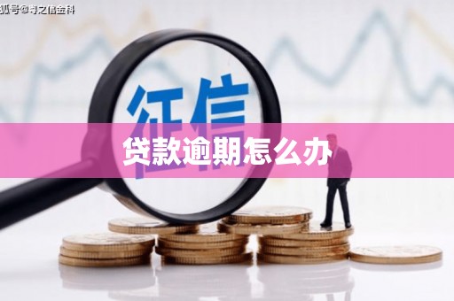 潍坊贷款逾期怎么办