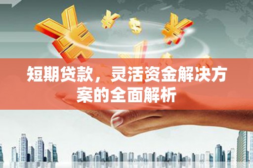 潍坊短期贷款，灵活资金解决方案的全面解析
