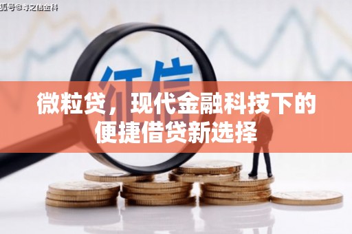 潍坊微粒贷，现代金融科技下的便捷借贷新选择