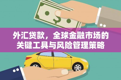潍坊外汇贷款，全球金融市场的关键工具与风险管理策略