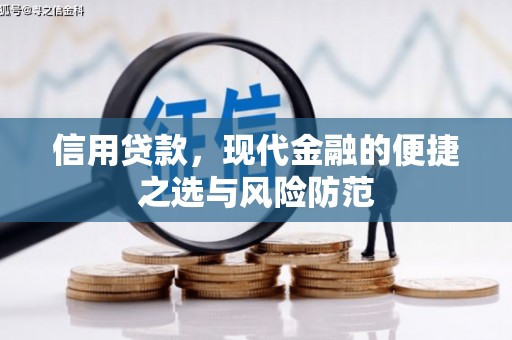 潍坊信用贷款，现代金融的便捷之选与风险防范