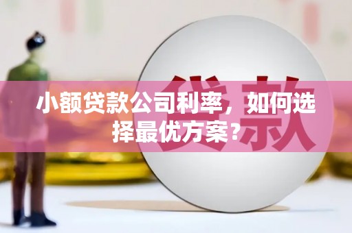潍坊小额贷款公司利率，如何选择最优方案？