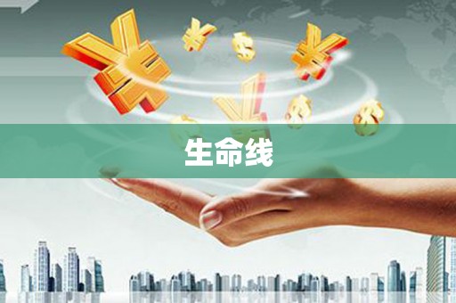 潍坊生命线