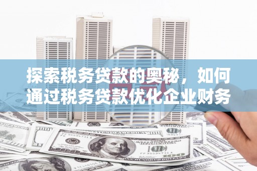 潍坊探索税务贷款的奥秘，如何通过税务贷款优化企业财务