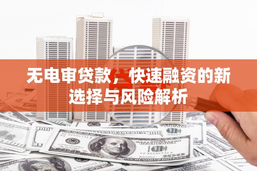 潍坊无电审贷款，快速融资的新选择与风险解析