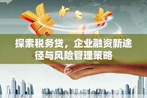 潍坊探索税务贷，企业融资新途径与风险管理策略
