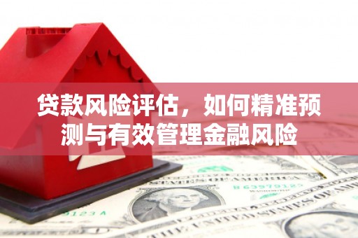 潍坊贷款风险评估，如何精准预测与有效管理金融风险