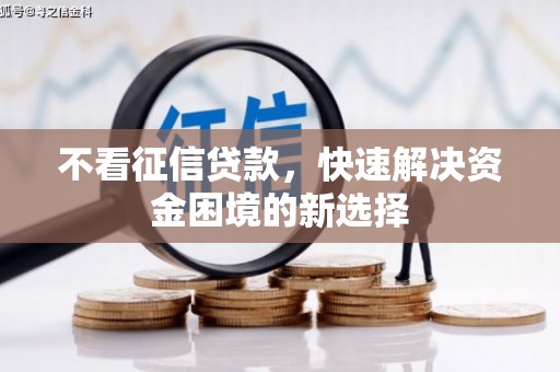 潍坊不看征信贷款，快速解决资金困境的新选择