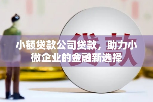 潍坊小额贷款公司贷款，助力小微企业的金融新选择