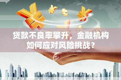 潍坊贷款不良率攀升，金融机构如何应对风险挑战？