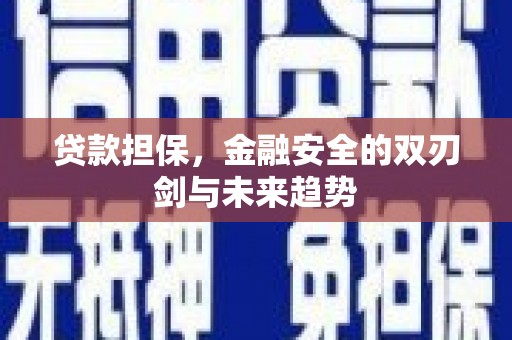 潍坊贷款担保，金融安全的双刃剑与未来趋势
