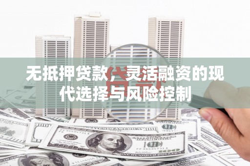 潍坊无抵押贷款，灵活融资的现代选择与风险控制